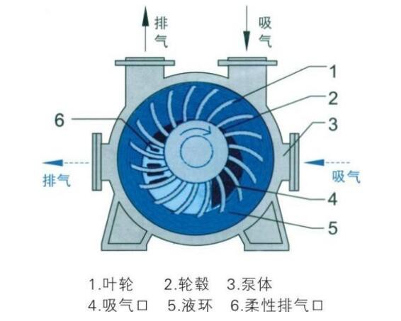 上海水環式真空泵工作原理圖